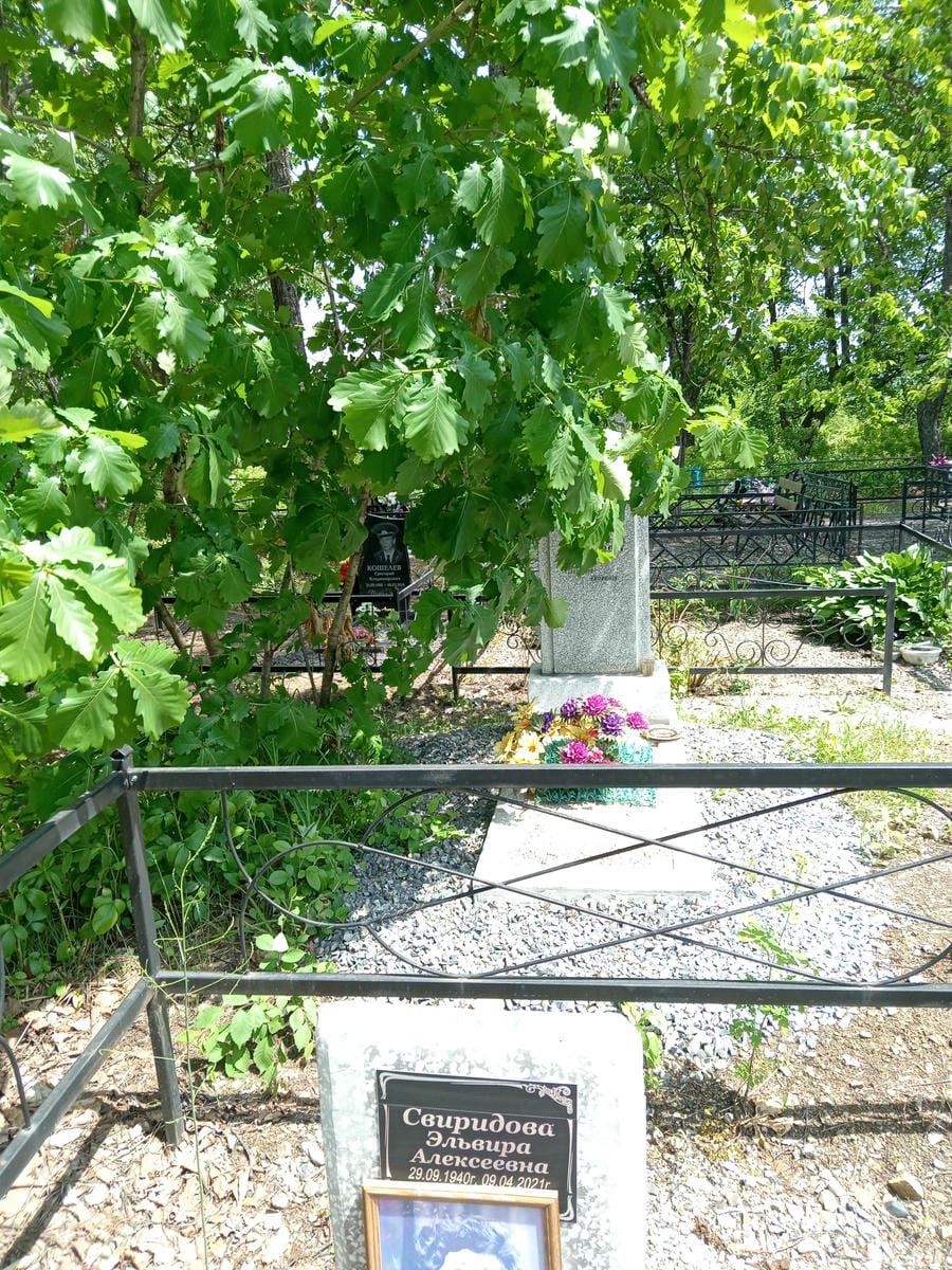 Свиридова Эльвира Алексеевна