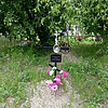 Новикова Анна Александровна