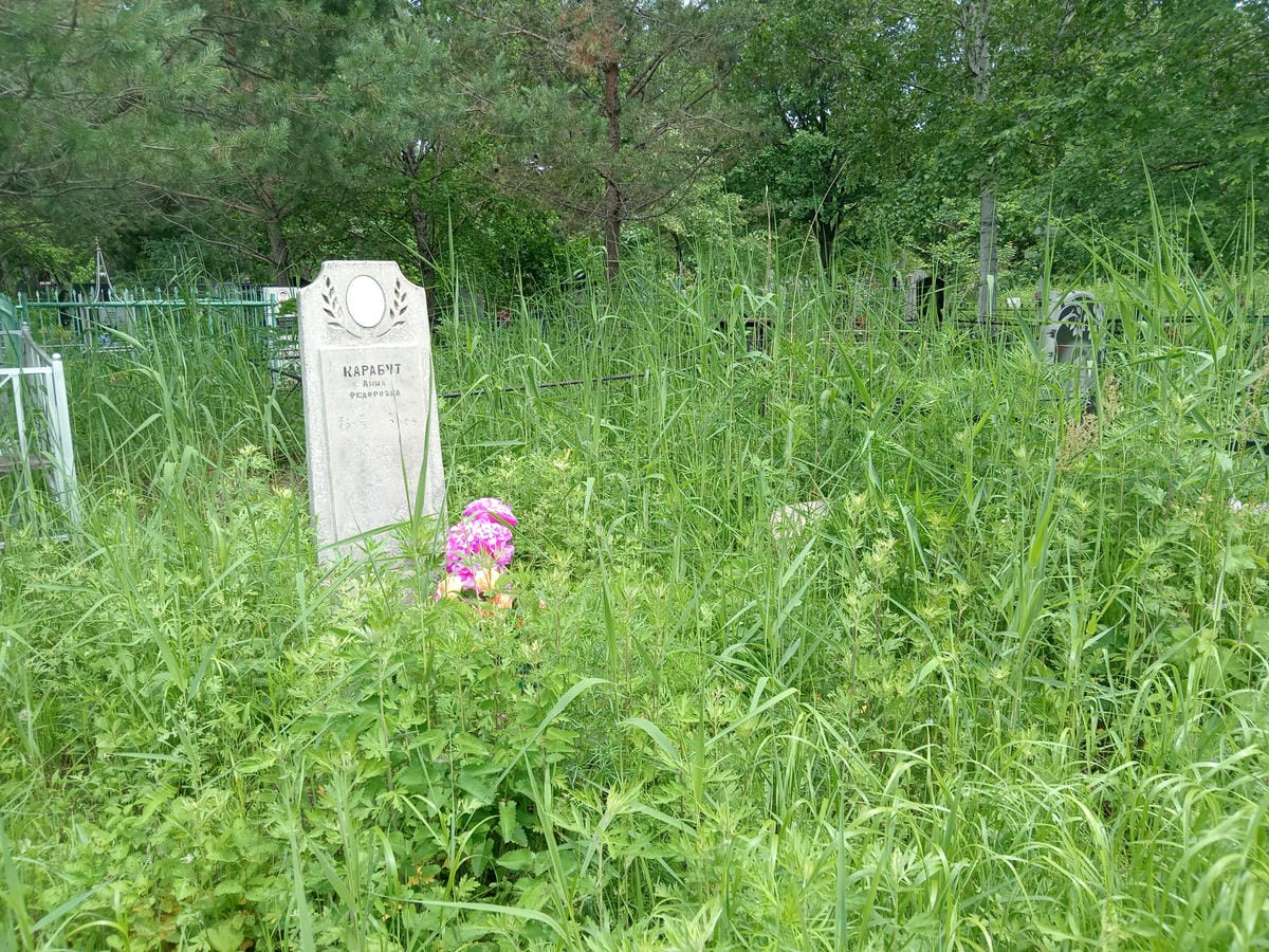 941bc602-577a-44e5-aa91-2c5443f7b07e Карабут Анна Федоровна