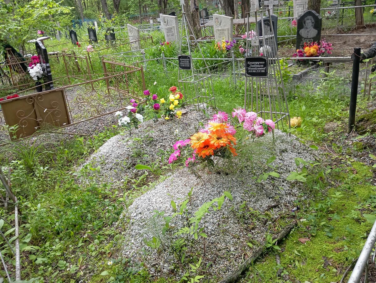 Криворучко Александр Николаевич