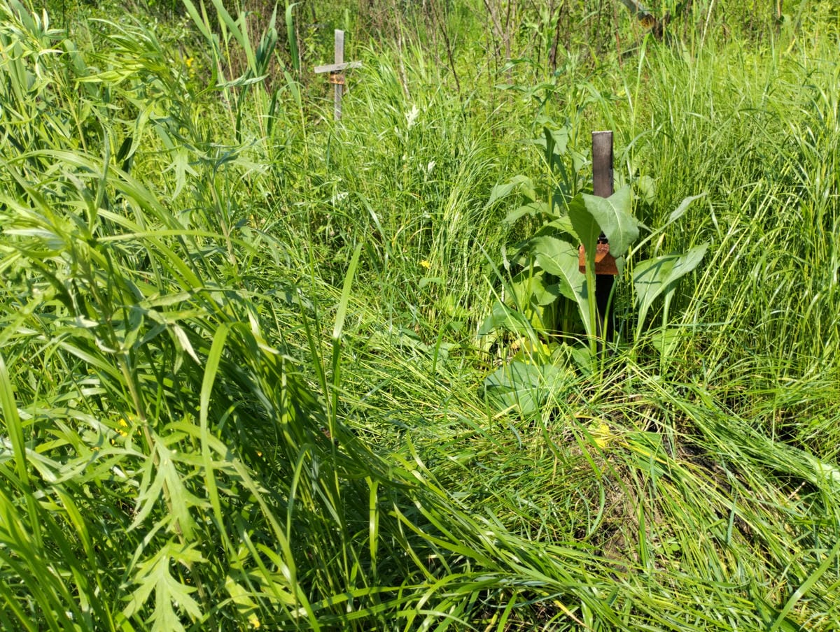 Неизвестно Неизвестно Неизвестно