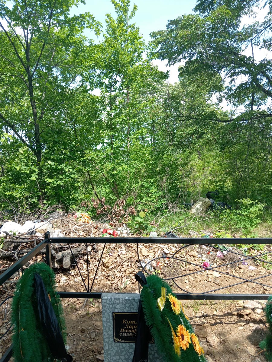 94d33e6a-5df6-4fc9-bb7c-2cb91bac03fc Котляр Лариса Иосифовна