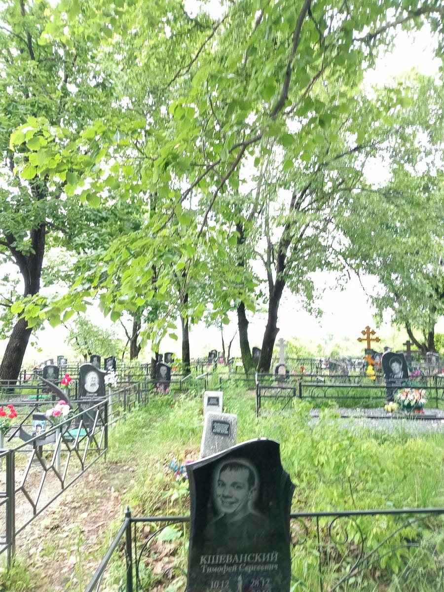Кшеванский Тимофей Сергеевич