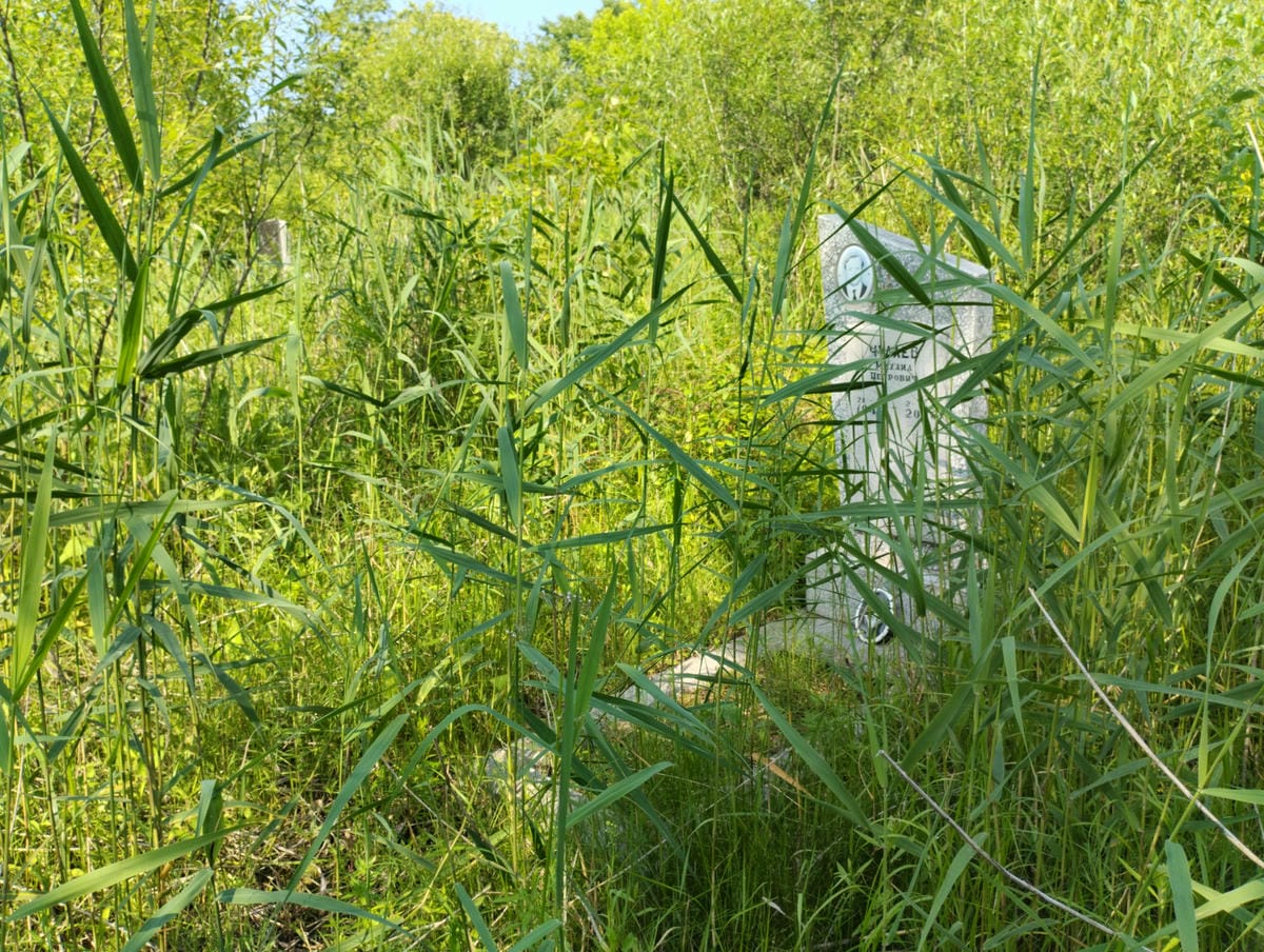 954ce923-c0d9-4b99-b2ed-089a327d2fad Чудаев Михаил Петрович