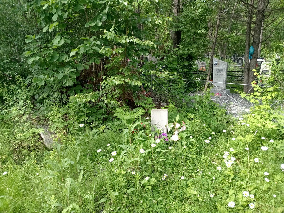 959c223e-cdeb-436a-9d62-7bf802989e91 Копытина Екатерина Владимировна