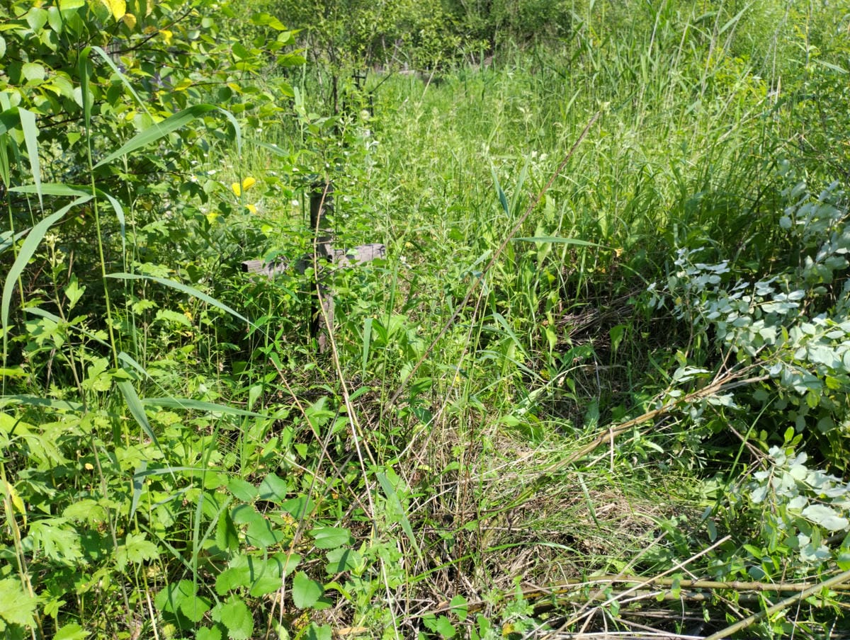 Неизвестно Неизвестно Неизвестно