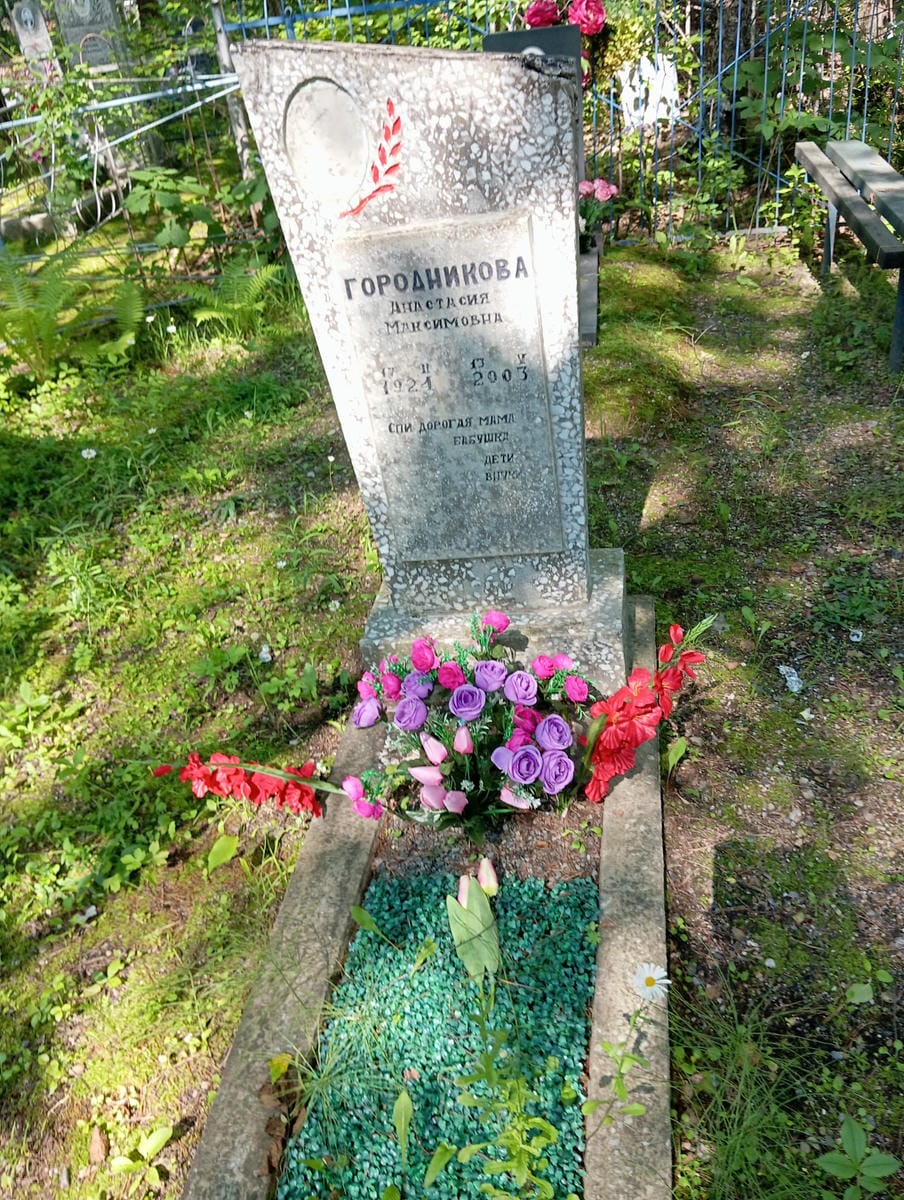 Городникова Анастасия Максимовна
