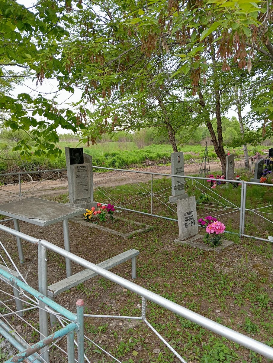 Бабенко Владимир Анатольевич