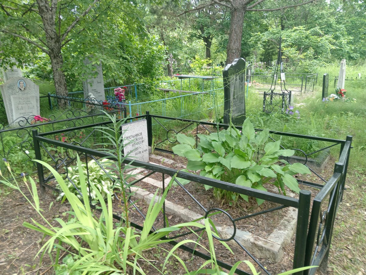 Синельников Василий Иванович