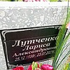 Лутченко Лариса Александровна