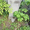 Товчигречко Михаил Григорьевич