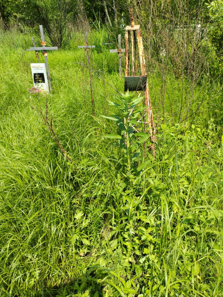 Дьяченко Геннадий Николаевич