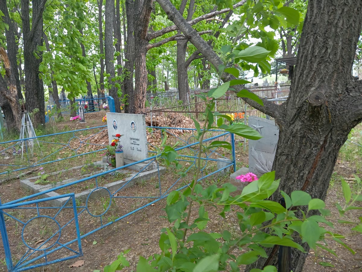 Плоскова Елена Александровна