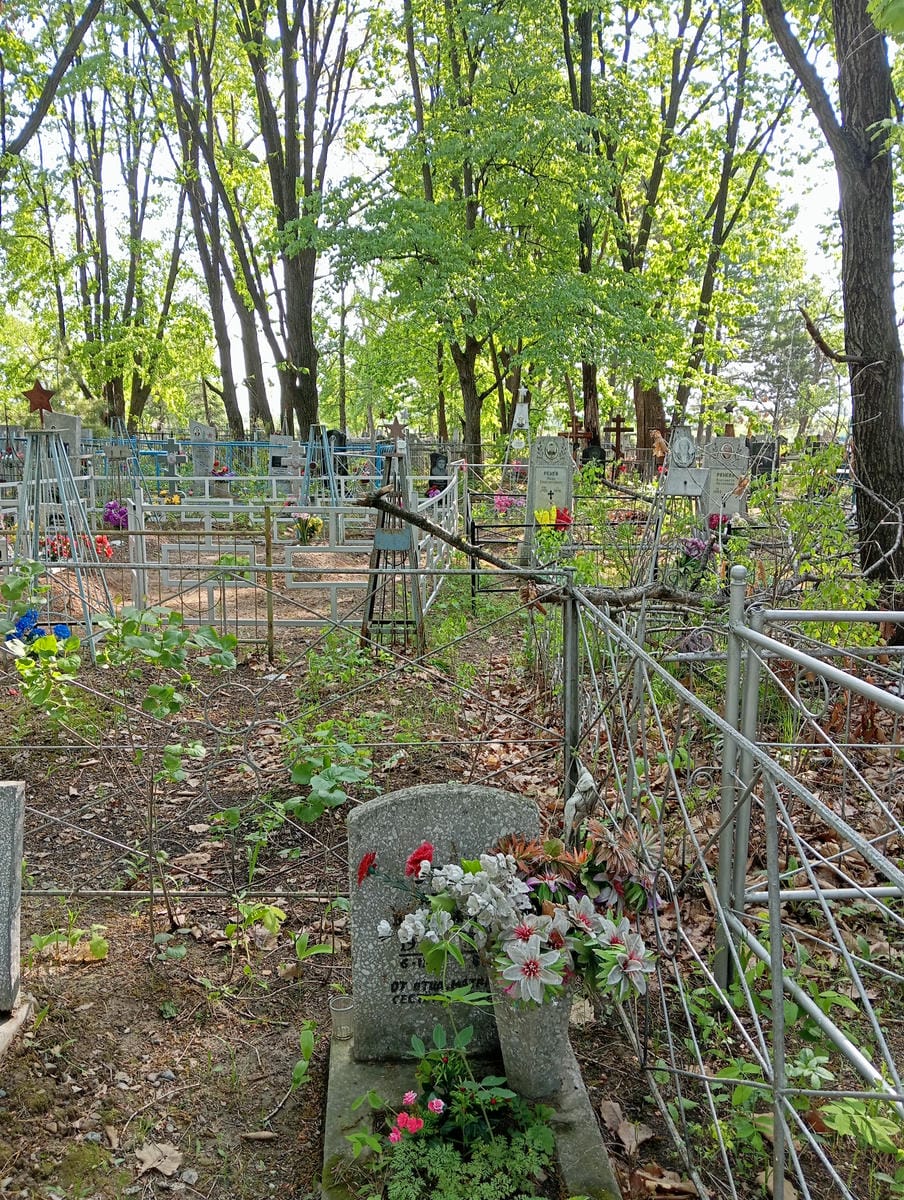 Урдя Алена Васильевна