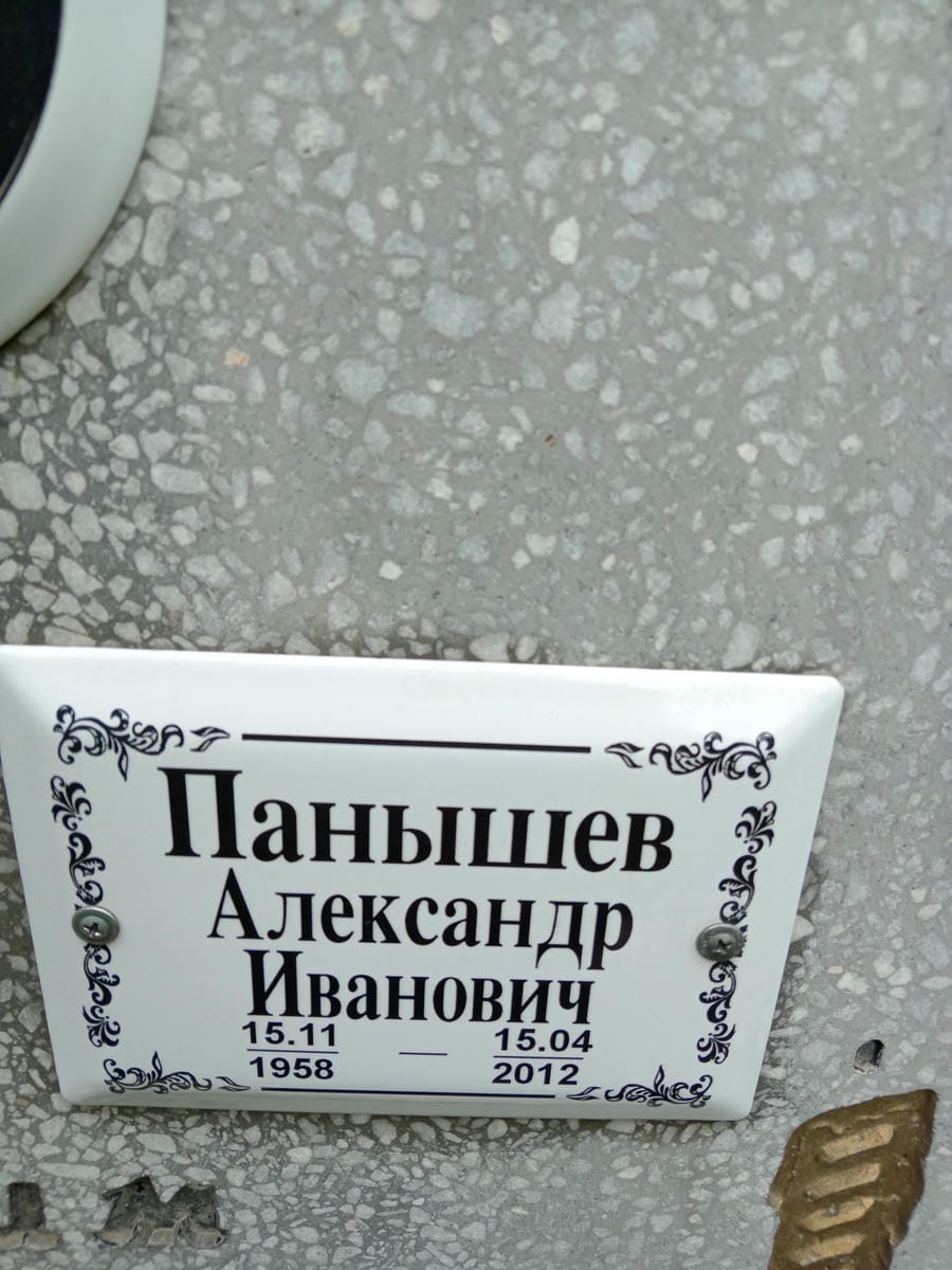 9784434b-f011-4087-a820-fb028482c5fe Панышев Александр Иванович