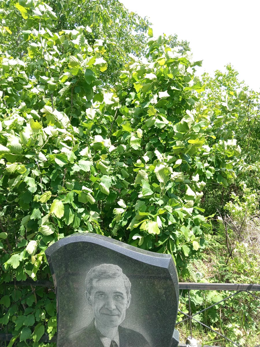 9806087f-8358-4afc-beda-055e5ab94628 Грек Николай Михайлович