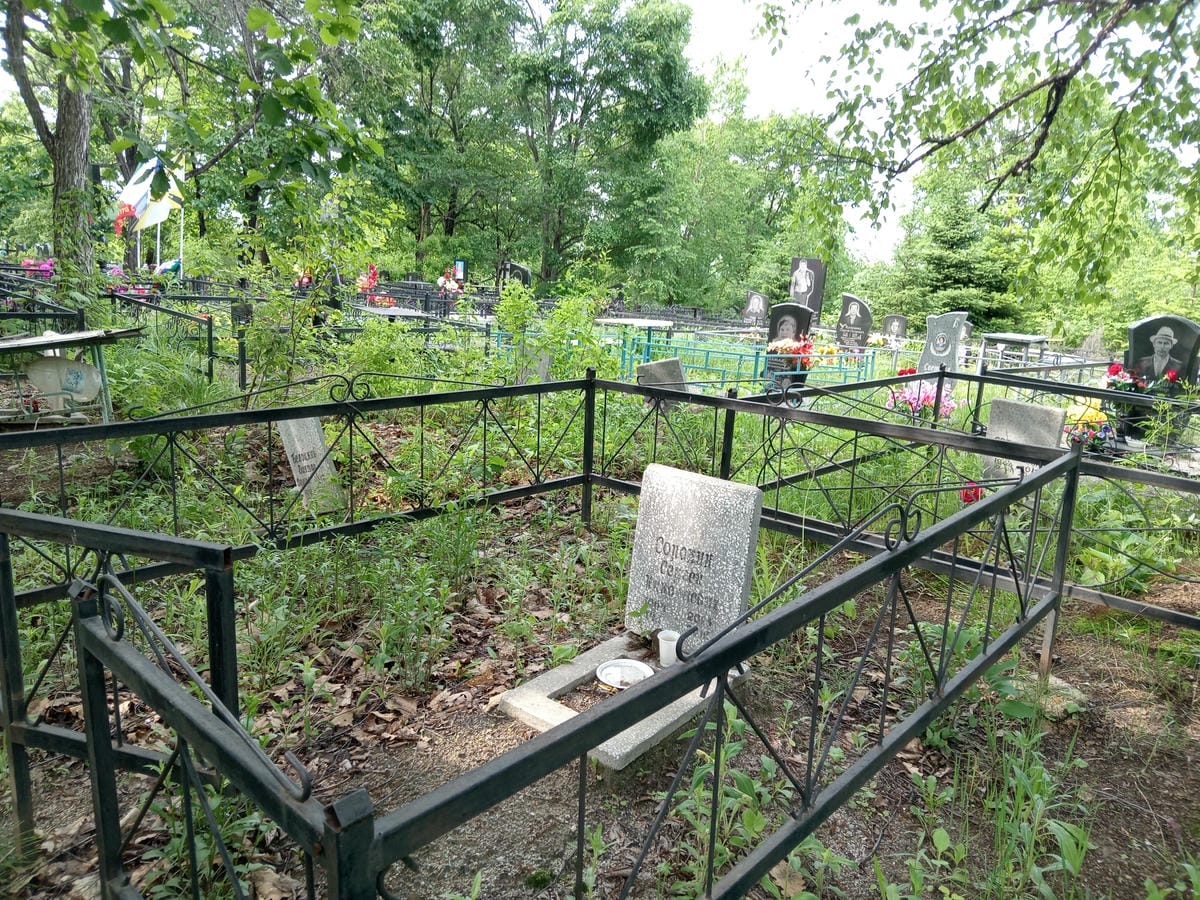 985d2104-2a3d-491a-85d5-b46b6f5a092f Сорокин Сергей Николаевич