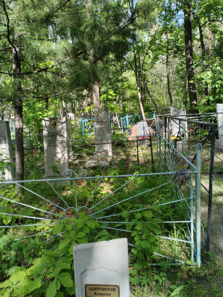 98d40765-e83d-4ad9-9403-41a2c13ffeda Шарпилов Алексей Владимирович