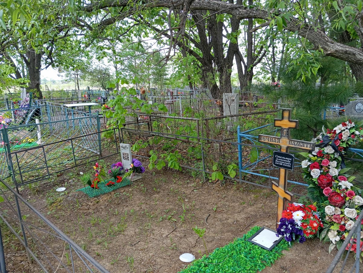 Стельмах Александр Валерьевич