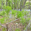 Мартынчук Владимир Анатольевич