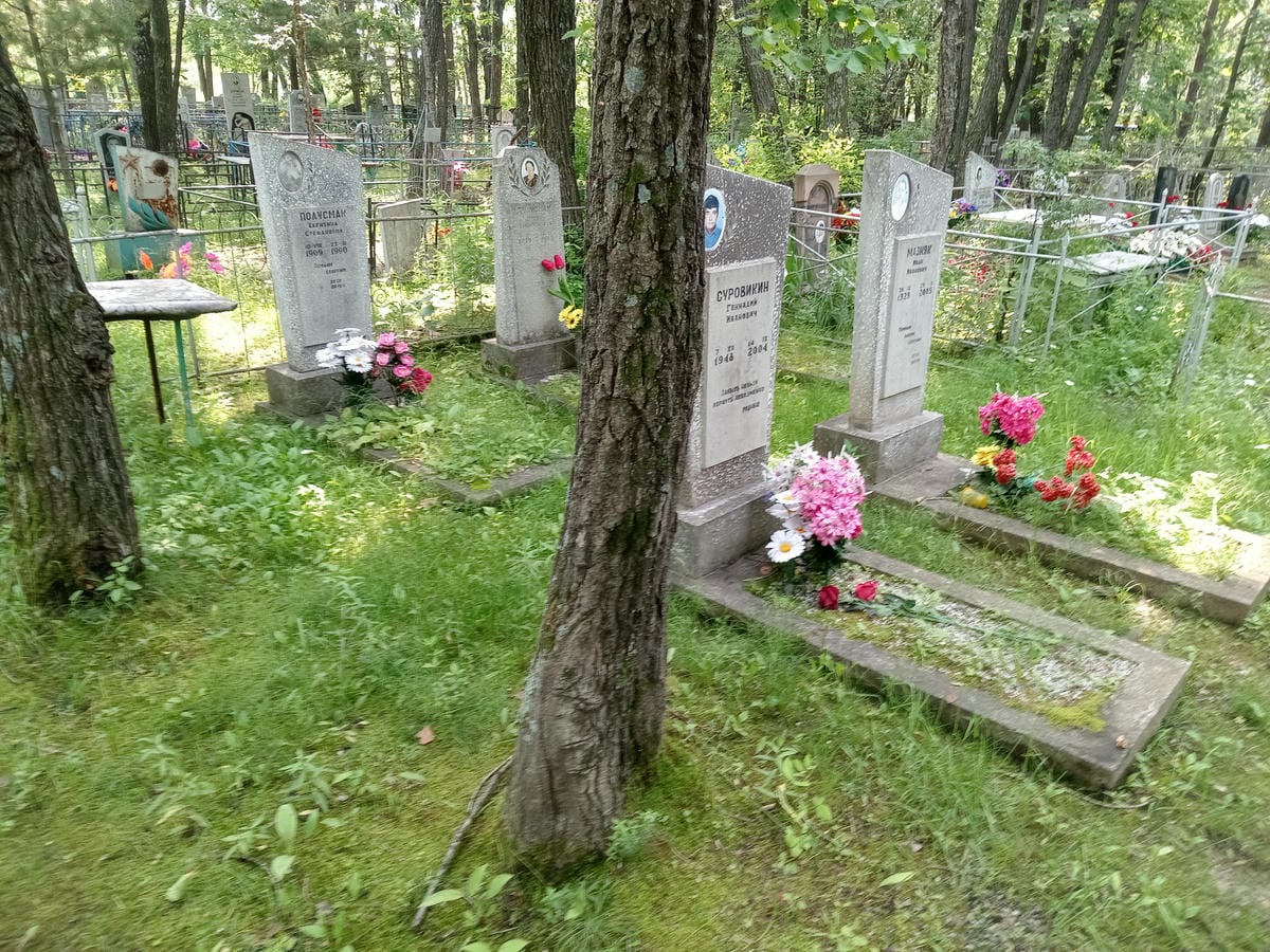 990eb8b1-d2fe-4474-b706-37f4dca44b55 Суровикин Геннадий Иванович