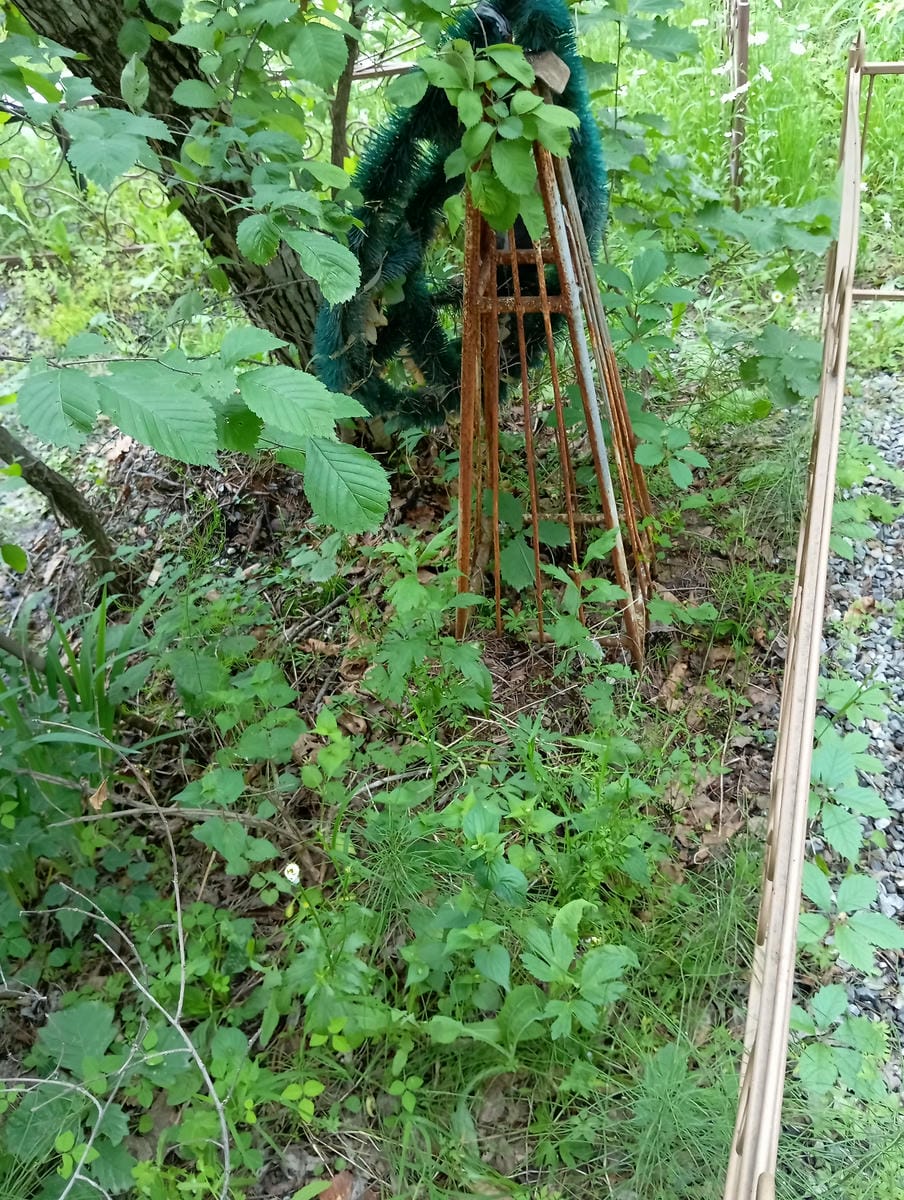 9929c0b3-323a-4fea-8f32-ca629d3d61dd Неизвестно Неизвестно Неизвестно
