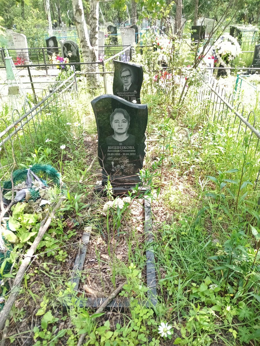 99888353-4574-4835-9f38-566a097464cf Вишнякова Антонида Степановна