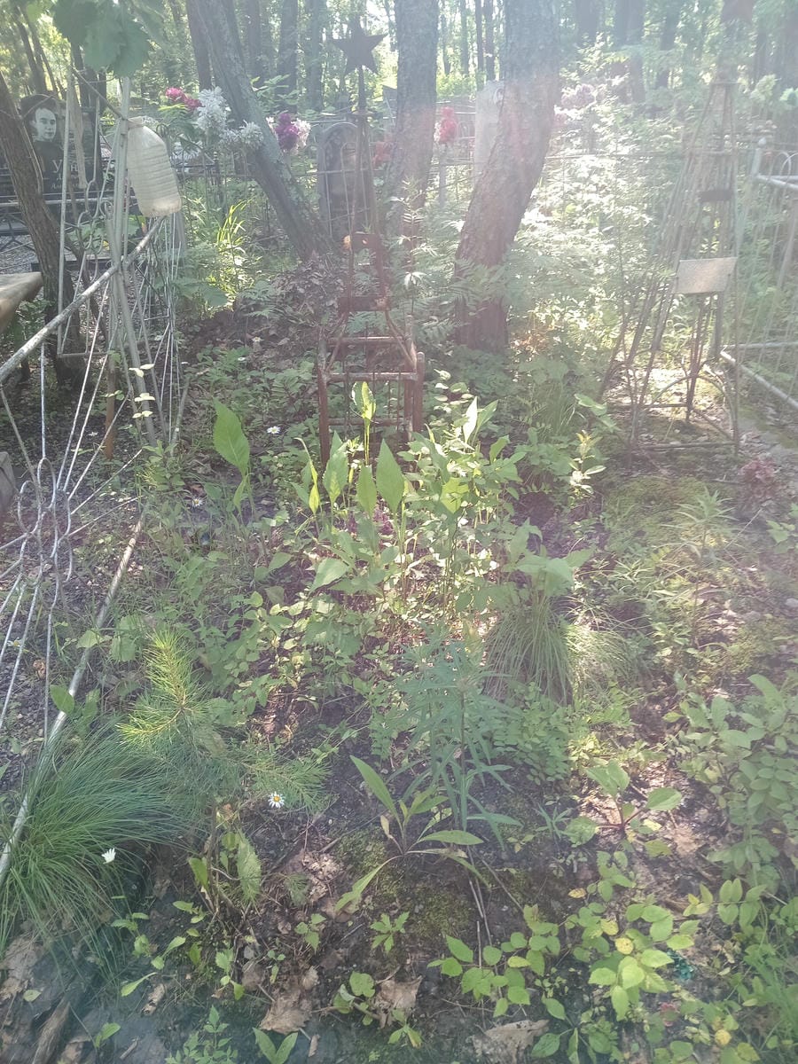 99b62ff7-cb4c-46f9-acbd-4cc6c089efeb Неизвестно Неизвестно Неизвестно