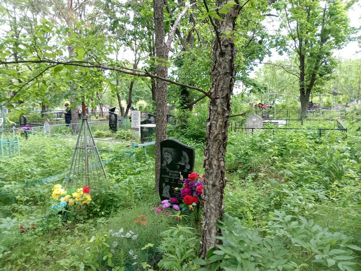 99f04185-c73e-463c-abf6-d96fd71c68bf Романюк Павел Александрович