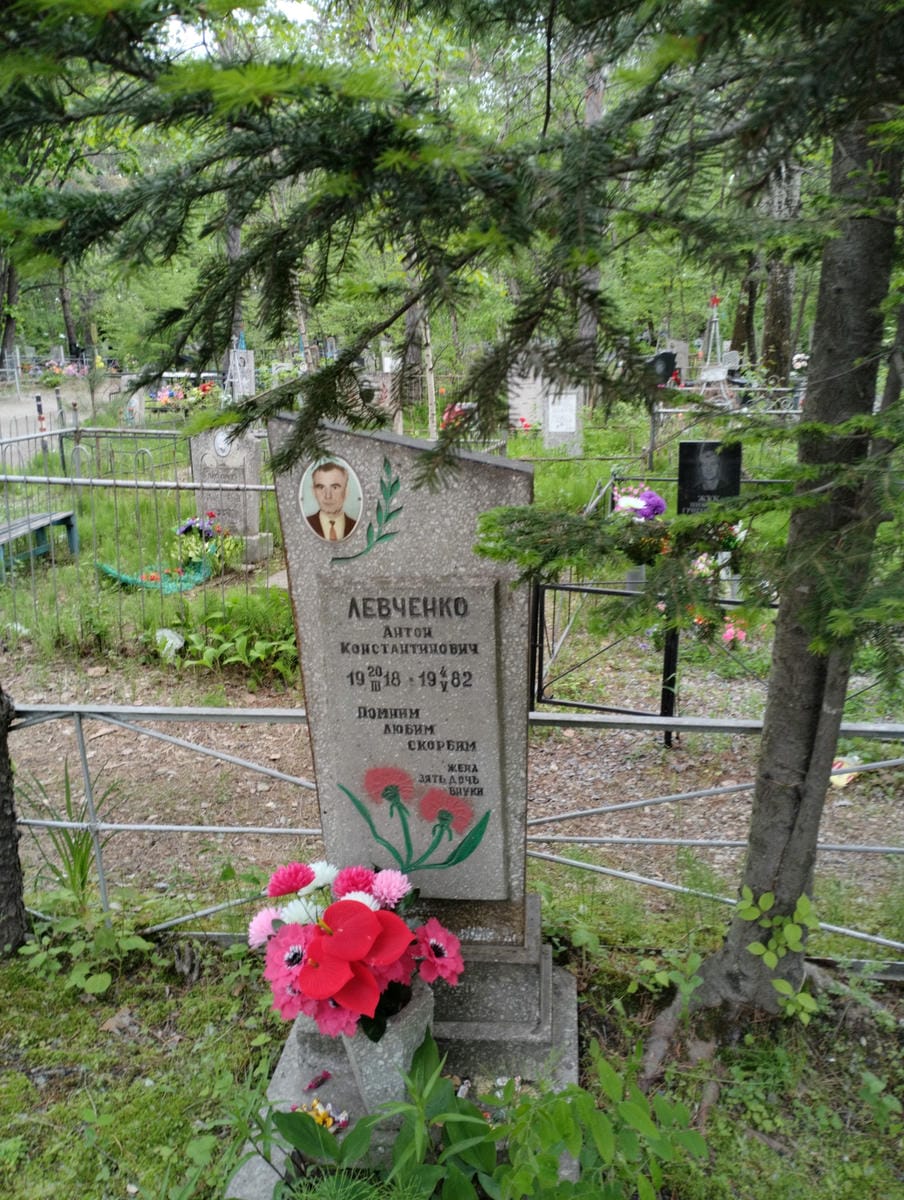 9a2b4d46-e2d0-4085-a176-10bfa2e77c58 Левченко Антон Константинович