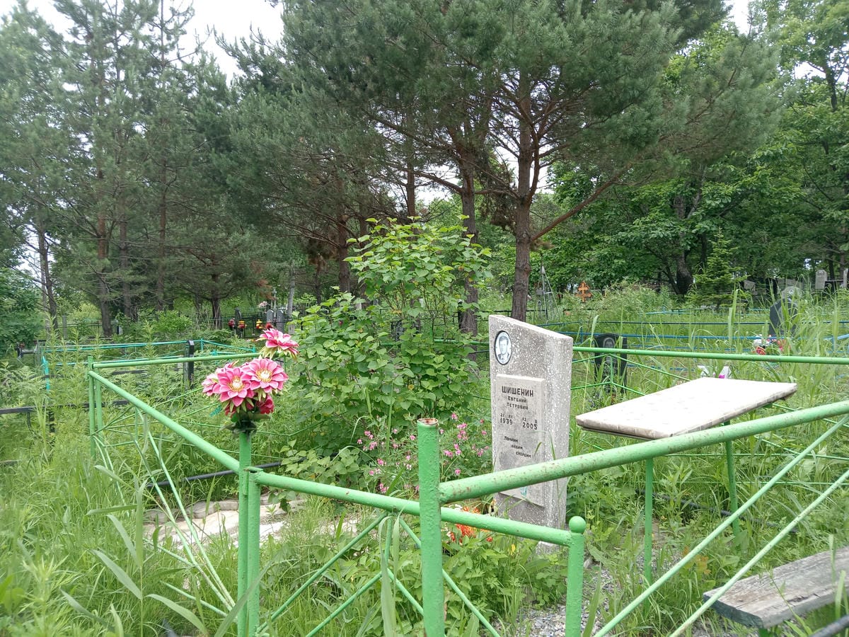 9a4fbe86-8d14-448a-b731-3c792994105c Шишенин Евгений Петрович