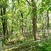 Флис Степанида Сидоровна