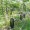 Вишнякова Антонида Степановна