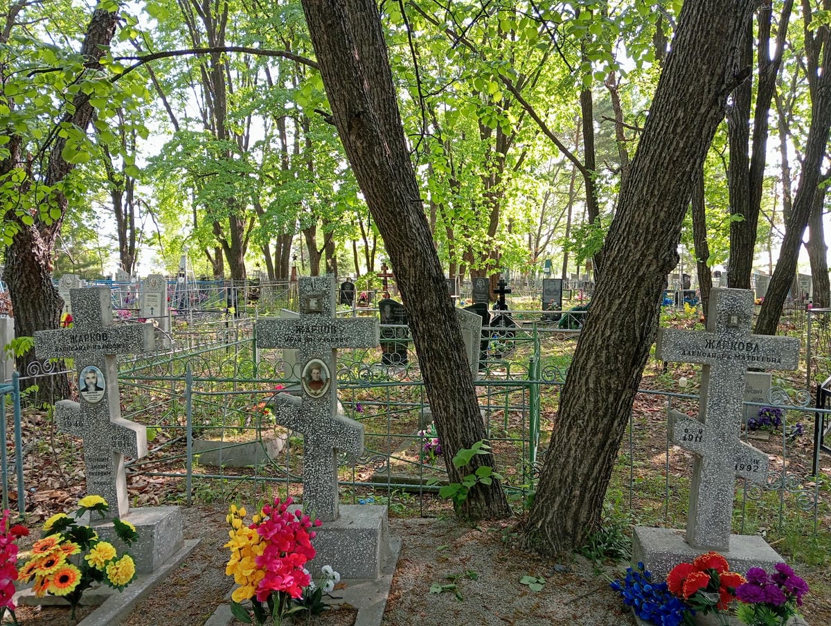 9b0e7ec9-d8ee-44af-a639-7526d61a20d5 Жаркова Александра Матвеевна