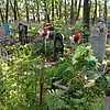 Борисова Ольга Васильевна