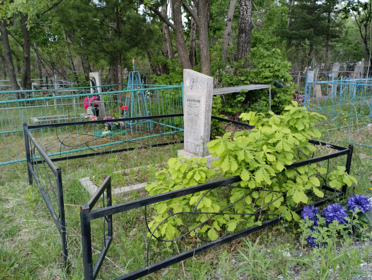 9b757cc7-4575-40aa-902f-45001024d724 Сосновский Валентин Валентинович