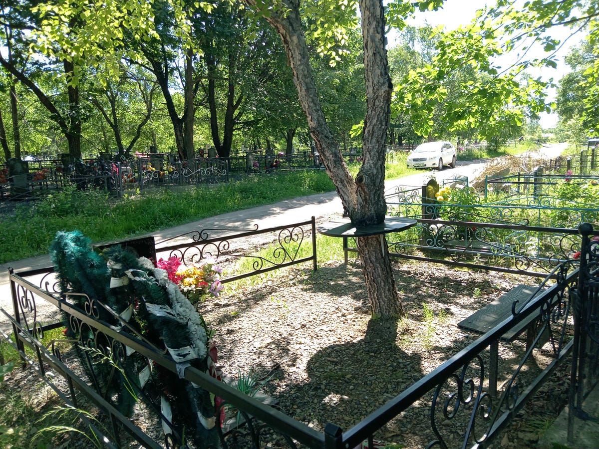 Носов Николай Петрович