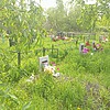 Попов Семен Андреевич