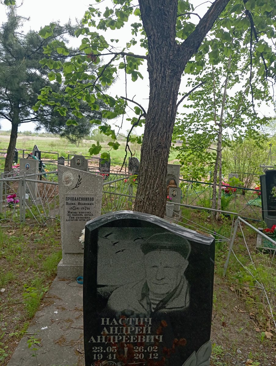 Настич Андрей Андреевич