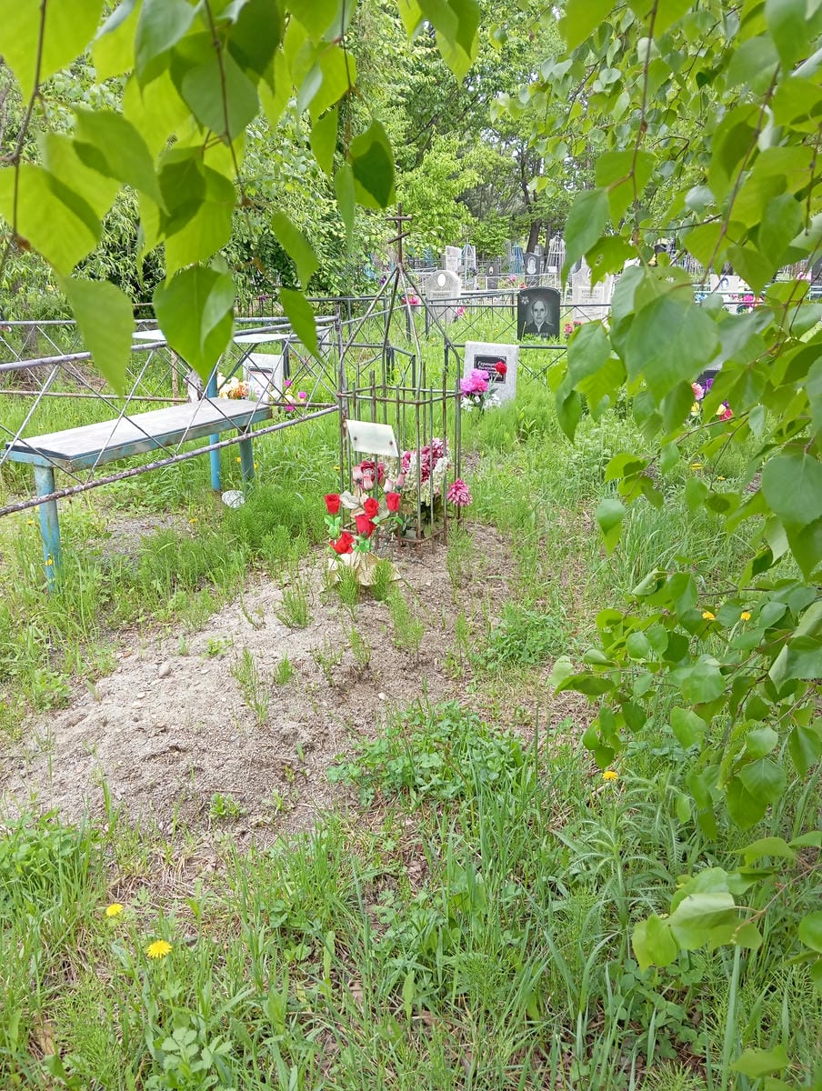 Чемина Татьяна Николаевна