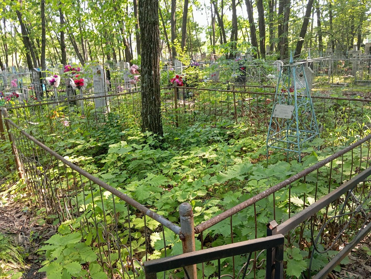 Богомазова Лидия Ивановна