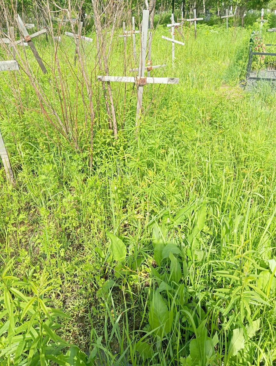 Неизвестно Неизвестно Неизвестно