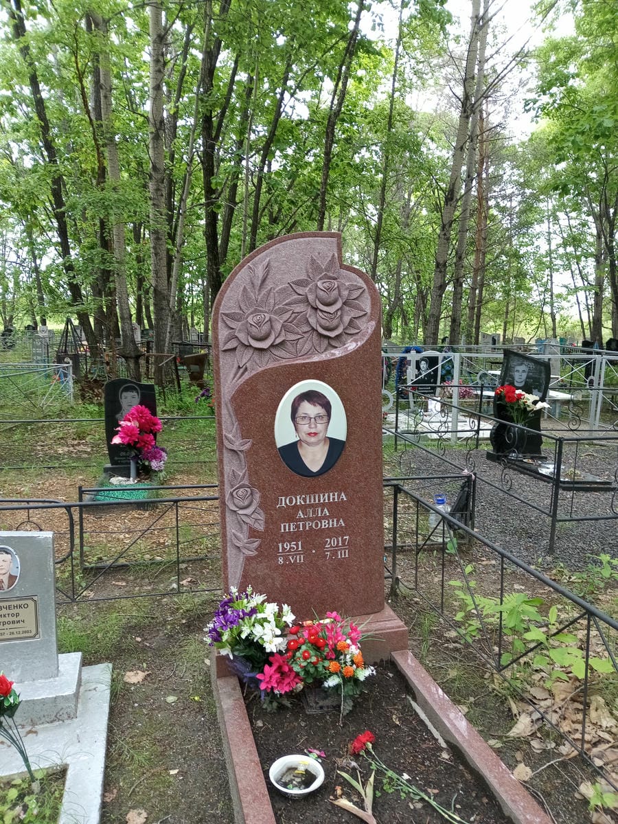 9d24748d-68ba-4713-a83e-82f518afe9dc Докшина Алла Петровна