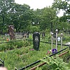 Лаврук Дмитрий Александрович