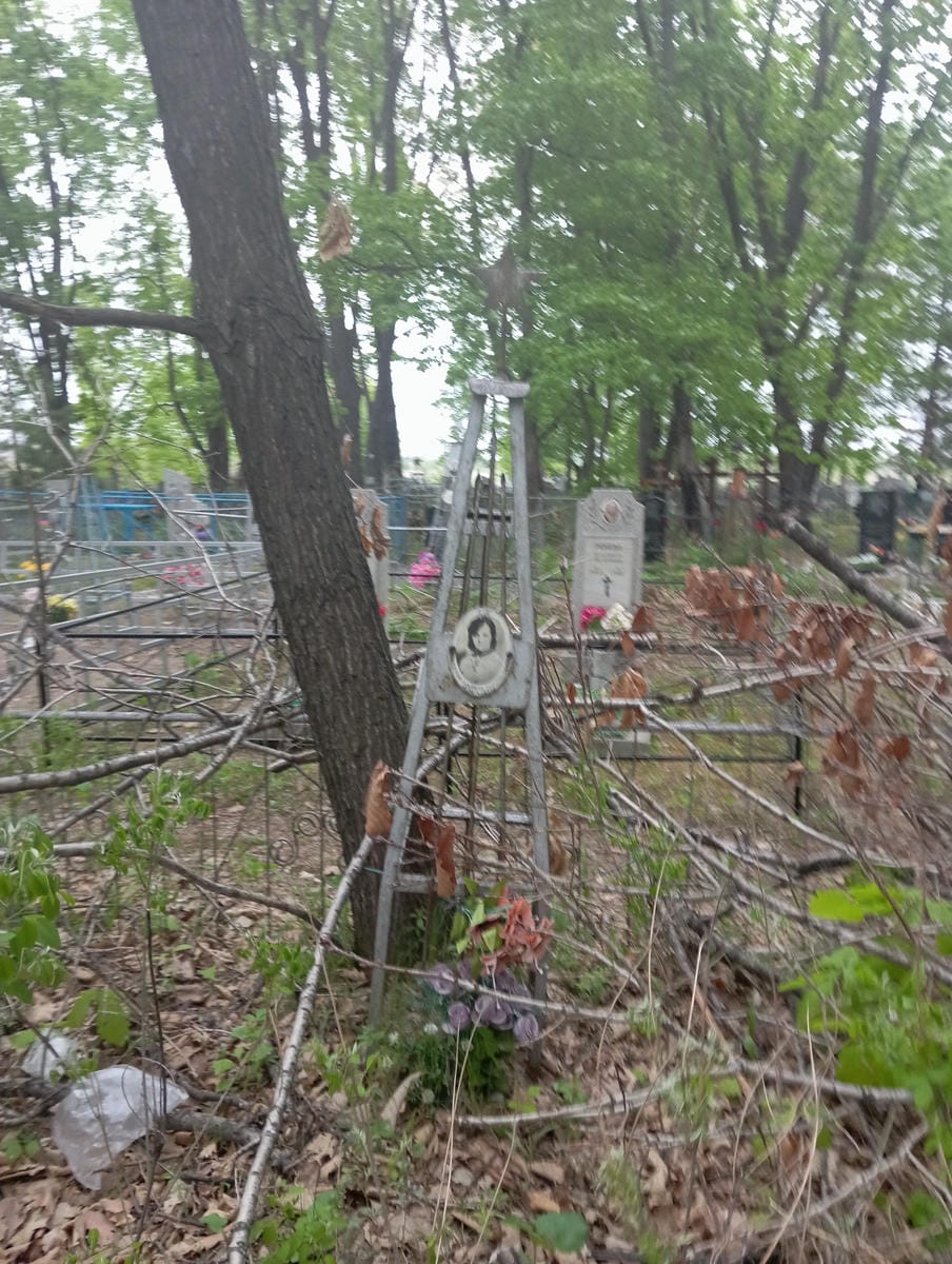 Сухенко Альбина Константиновна