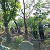 Некрасова Ксения Тимофеевна