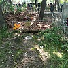 Ломака Нина Константиновна