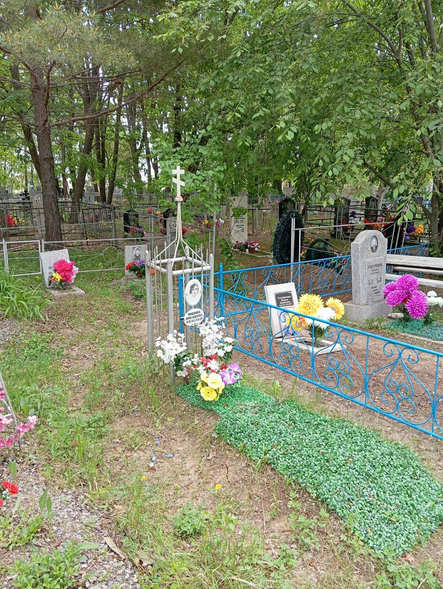 9e908b5e-9699-4e6f-809d-e847b39d669c Мишарина Анна Анндреевна