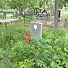 Луенко Михаил Антонович