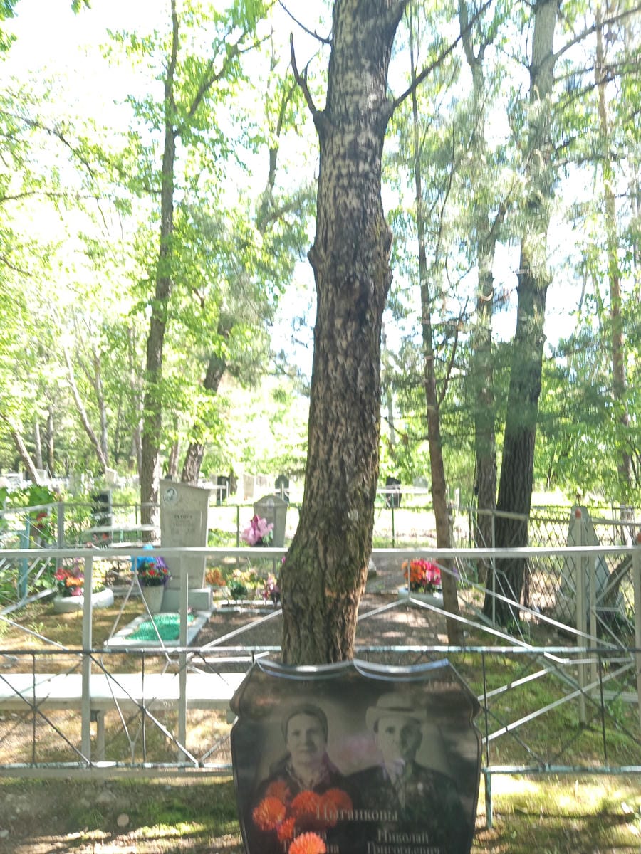 Цыганкова Елена Тарасовна